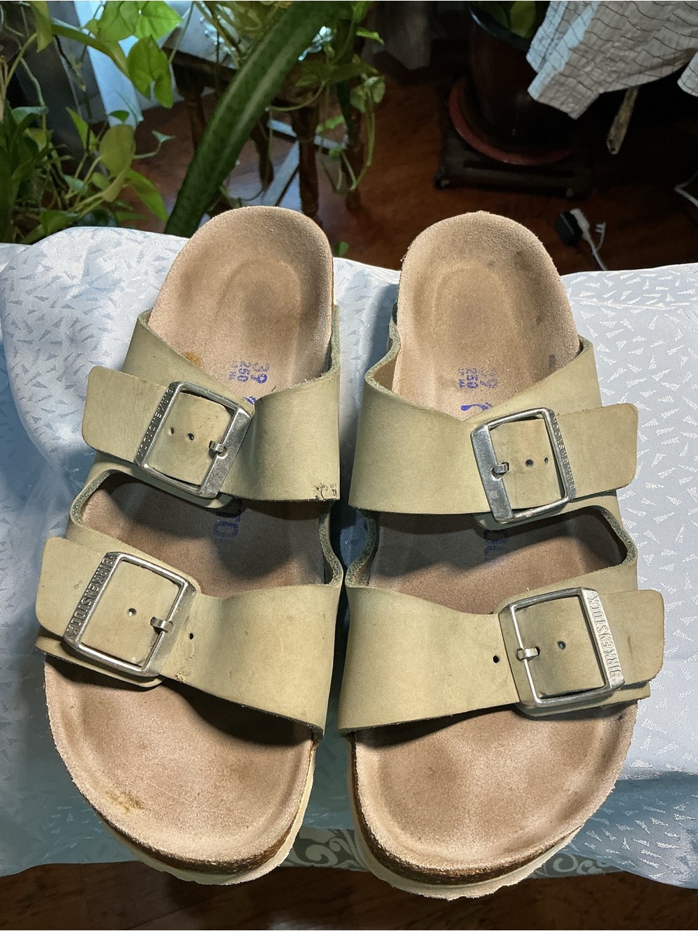 Birkenstock woman’s Double Buckle Slides in Light Olive